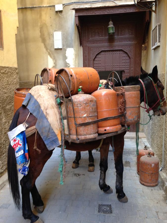 Riad Blanc De Fez Exterior foto